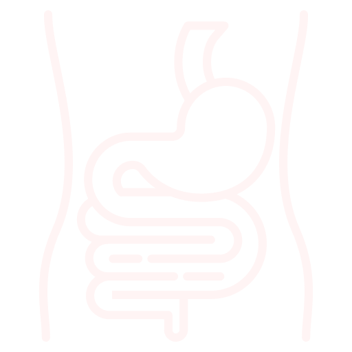 Salud digestiva